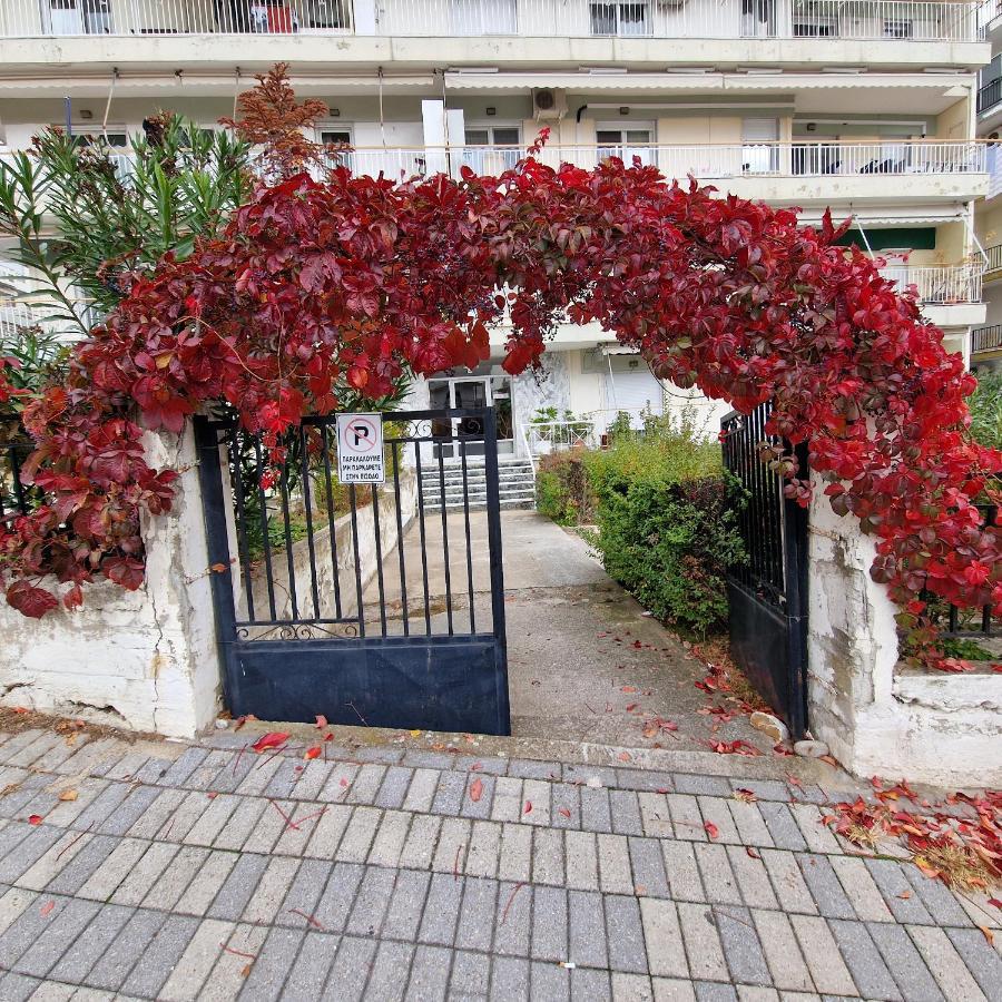 Best Minimal Studio In Xanthi - Myhomee Exterior foto